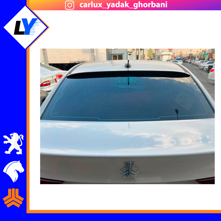 بال شیشه عقب شاهین مشکی TGS