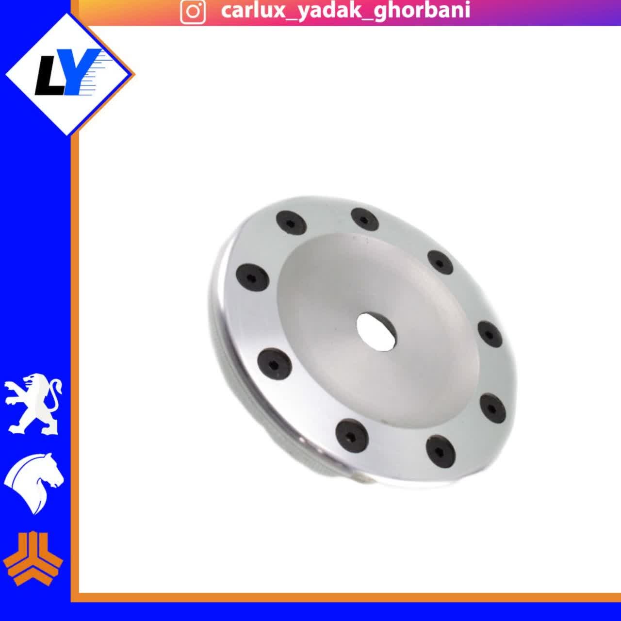 درب باک RC 206 استیل فلزی (مدل مورد نظر انتخاب شود)