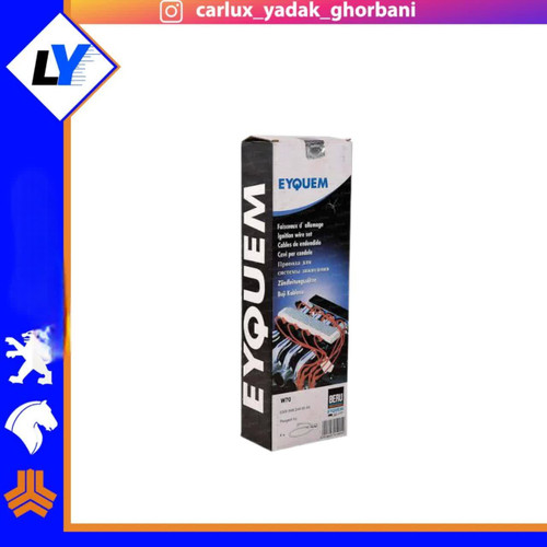 وایر شمع پراید زیمنس اکیوم فرانسه