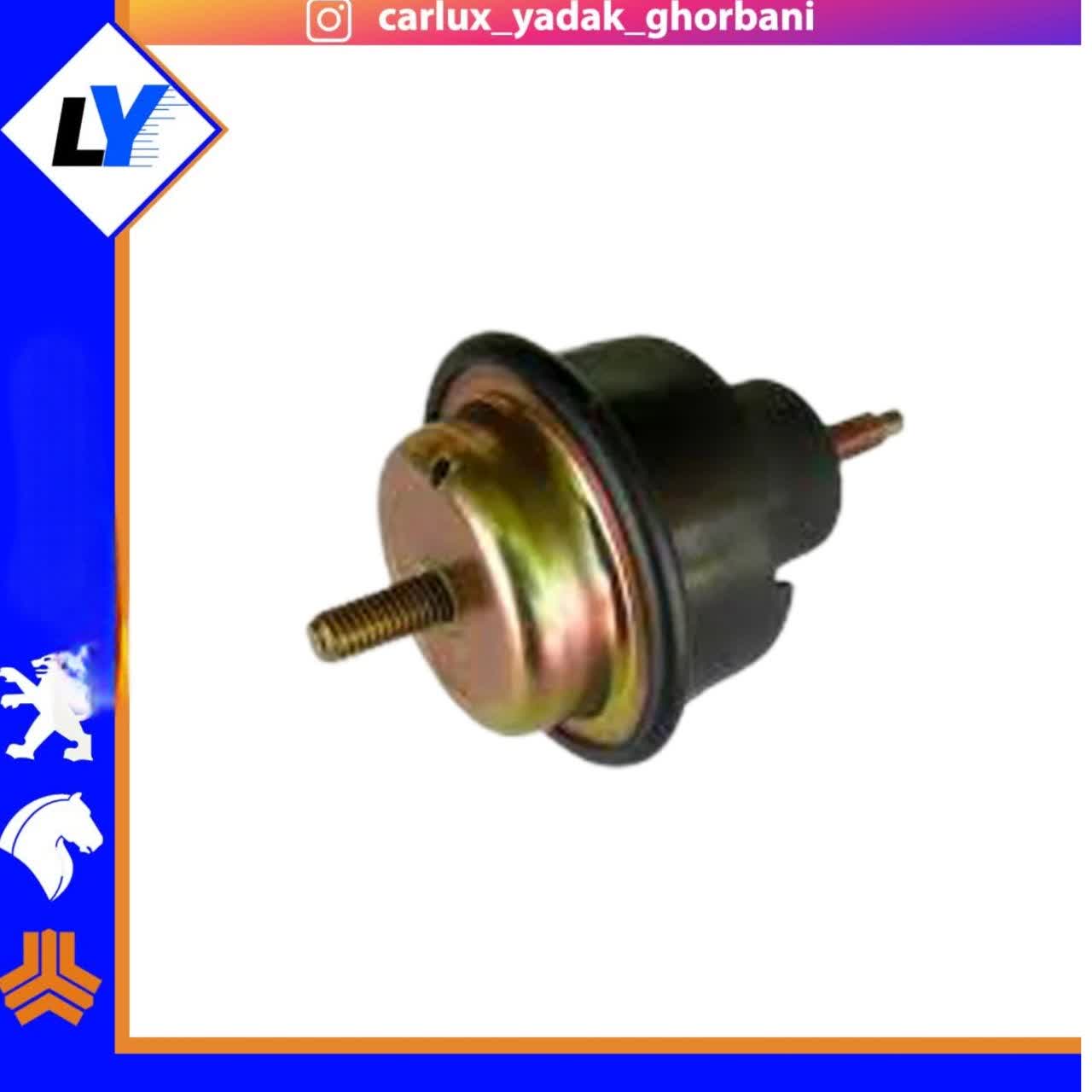 دسته موتور دو سر پیچ 206 رهیاب