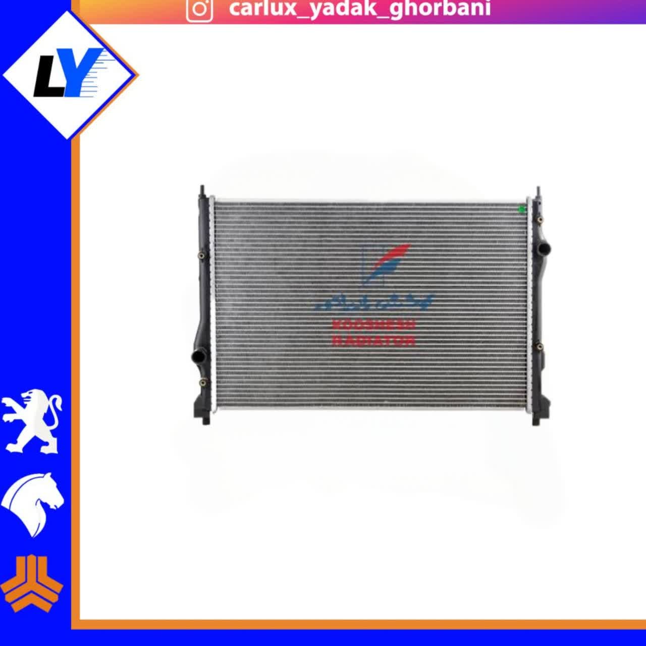 رادیات BYD کوشش